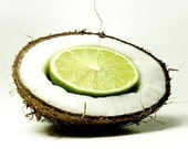 6 Coconut Lime Scented Candle Tarts Wax Melts 6oz
