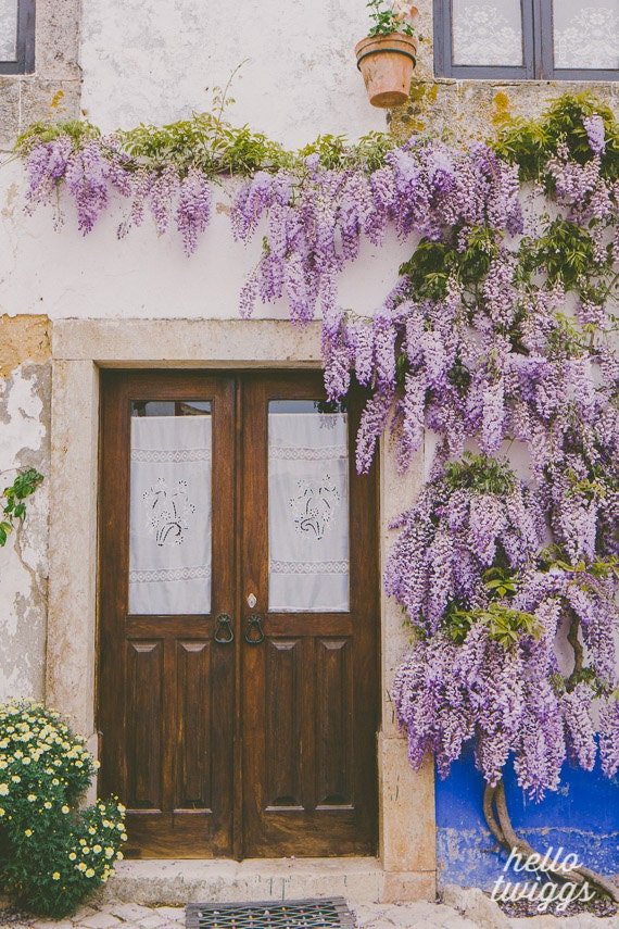 Travel Photography, Door Print, Wisteria Photograph, Flower Photography, European Photography, Spring Photography - It's always Spring - hellotwiggs
