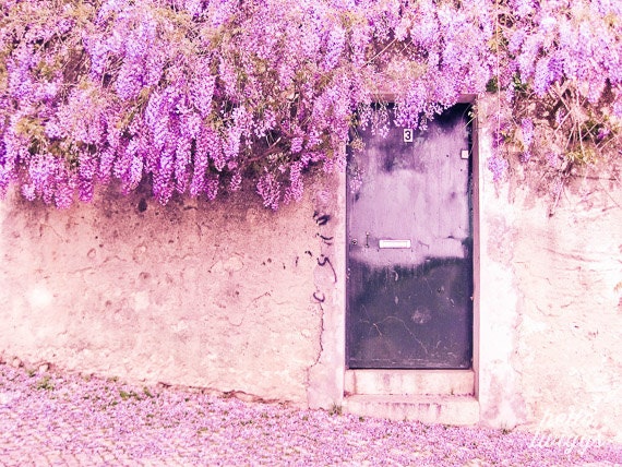 Flower Photography, Travel Photography, Wisteria Flower Photo, Door Photo, Lisbon Print, European Photos, Purple Flower Photo - Wisteria