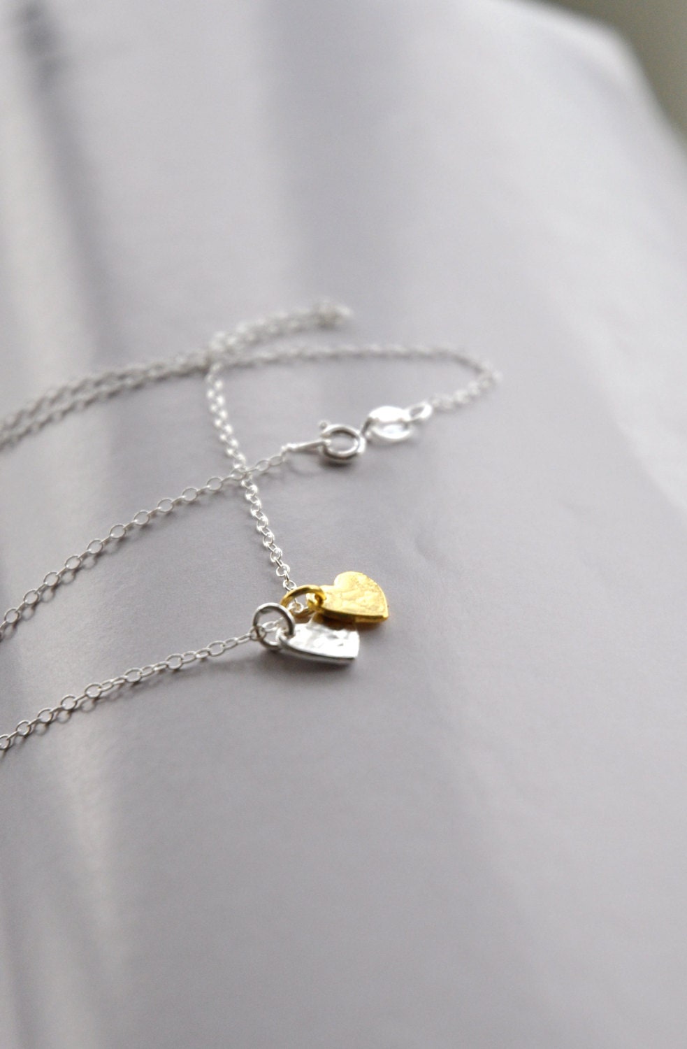 Double Heart Love Necklace