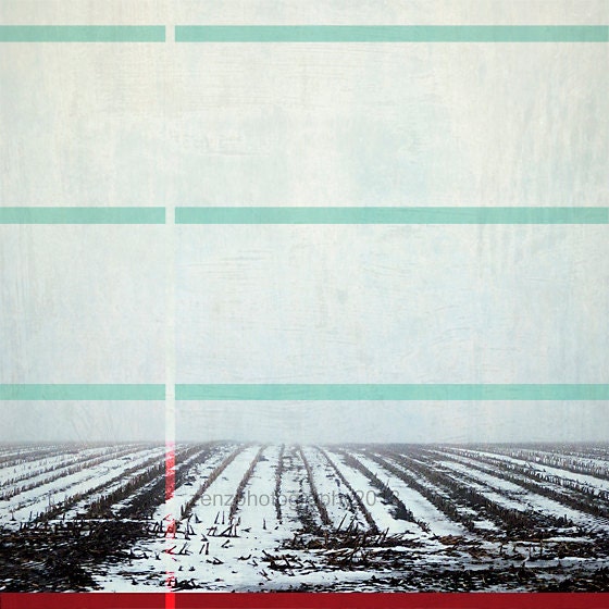 Landscape photography - Field - Still life photo - Fine art photography giclee print -  nature home decor