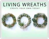 Custom Succulent  & Air Plant Wreath