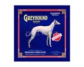 Blank Journal - Greyhound Brand Citrus - Fruit Crate Art Print Cover