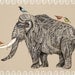 TUSK // A3 print