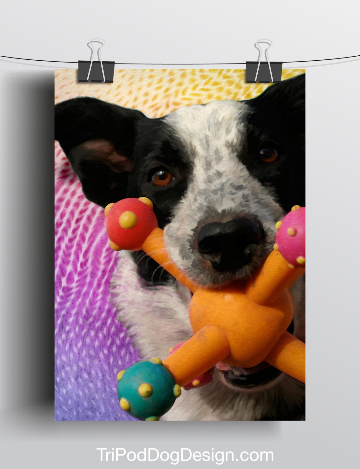 Border Collie - 5x7 Giclee print on canvas