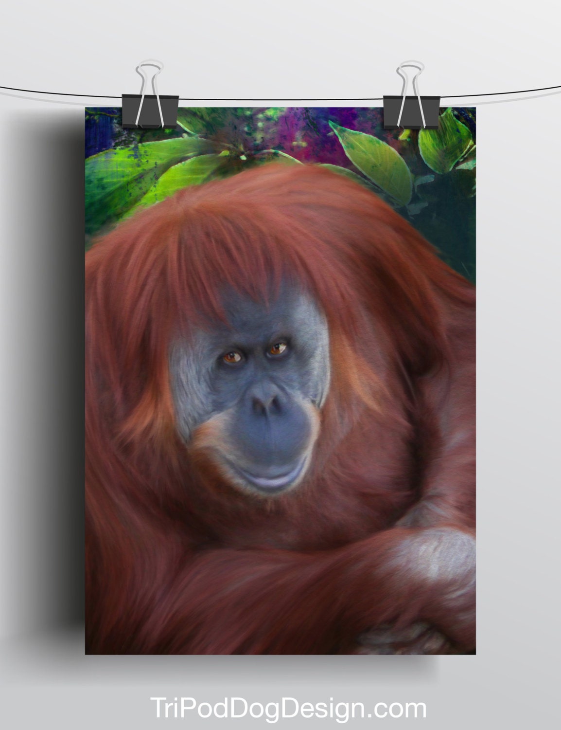 Orangutan - 5x7 Giclee print on canvas