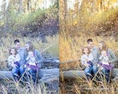 40 Easy Edit PRESETS -  for Lightroom 4 RAW