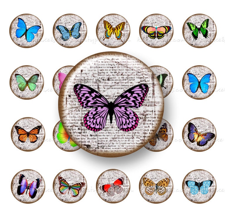 Butterfly on Paper Print 1 inch Circles Digital Collage Sheet - Buy 3 Get 1 Free