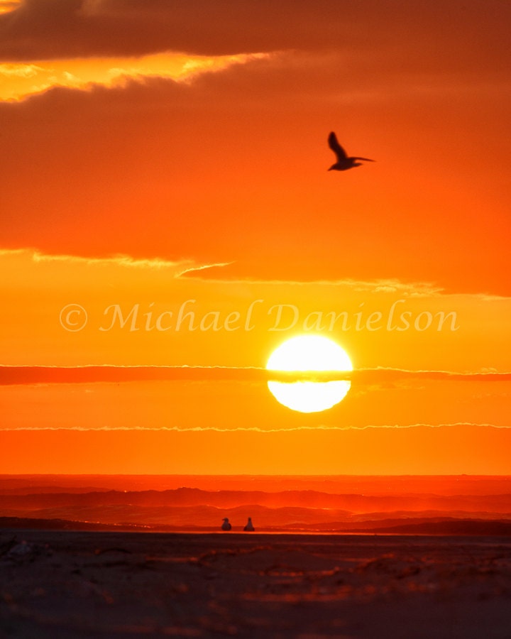 Jones Beach Sunrise and Seagull 8x10 photograph print