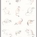 AUSTRALIAN MARSUPIALS