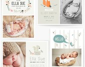 Woodland Baby 5x7 WHCC Cards