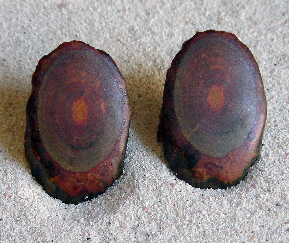 Brown & Green Vintage Wood Slice Earrings - 1960s 70s Screw Type Clip on - Gift under 15