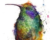 Hummingbird Watercolor Print by Dean Crouser