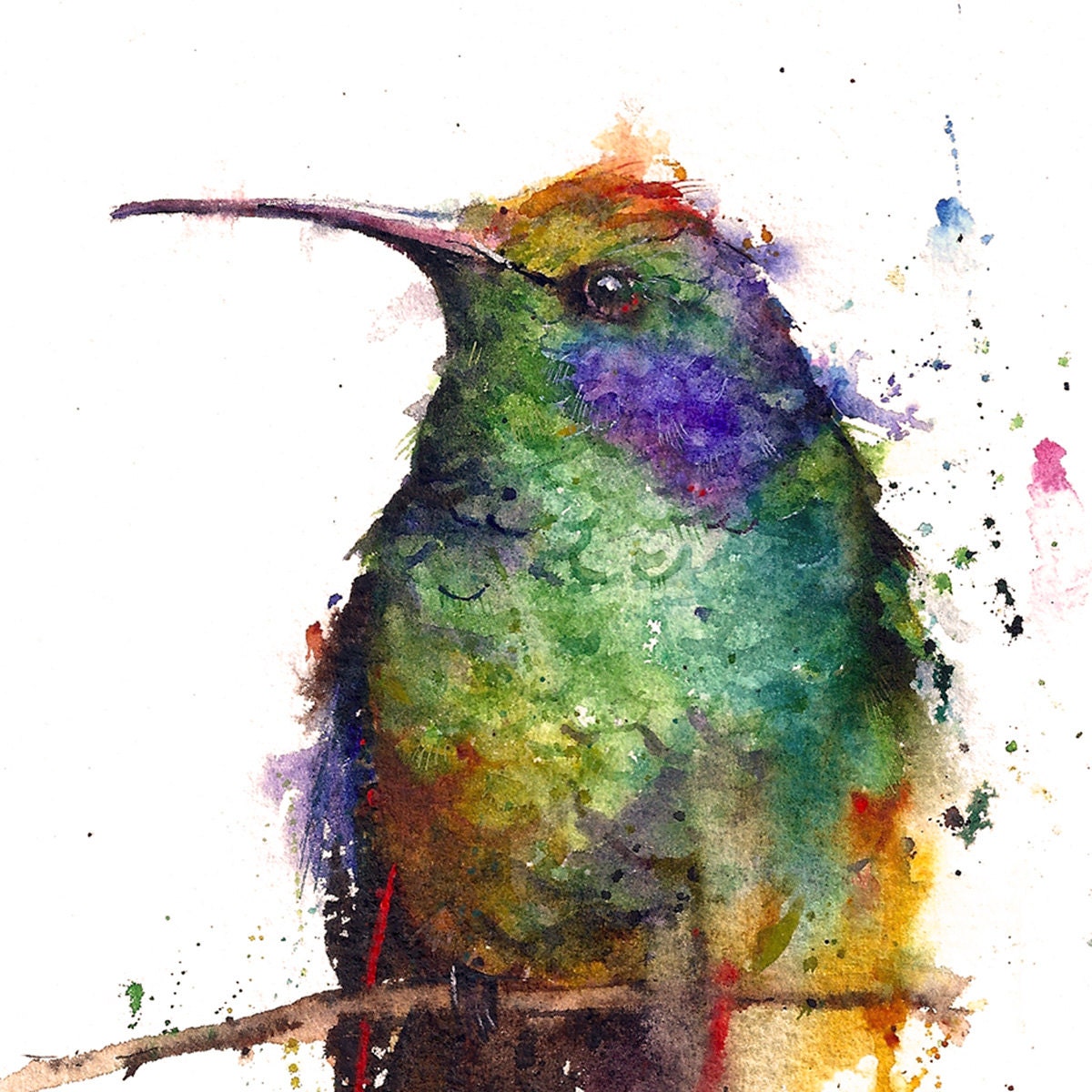 Hummingbird Watercolor Print by Dean Crouser