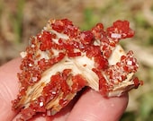 Morocco White bladed Barite Cherry Summer Red Vanadinite Crystal cluster collectable mineral specimen MVB 8, Fathers day gift, Summer
