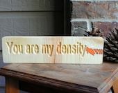 You are my density - Back to the Future - Carved Wood Sign, Reclaimed Wood