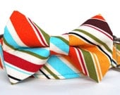 Dog Collar and Bow Tie - Winston Stripe - dog collar with bowtie accessory