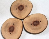 3 large sycamore buttons