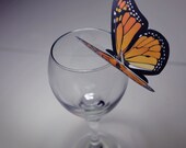 Monarch Butterfly Wine Glass Toppers set