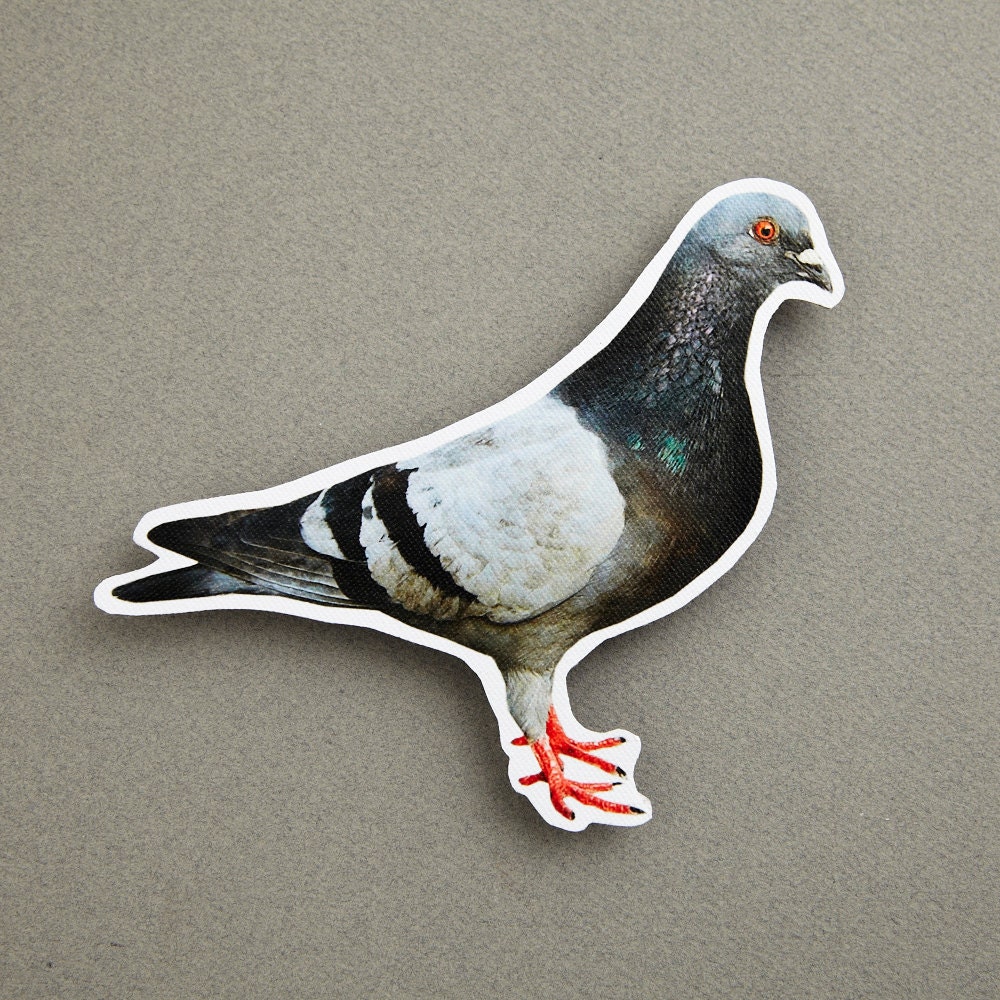 Pigeon Facing Right Photo Magnet
