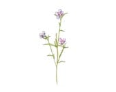 The Lavender Wildflower Collection, Four Botanical Illustrations, Unframed, 7x9