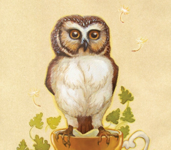 Owl and Teacup
