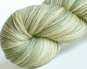 Sock yarn bfl silk cash Willow hand dyed 70/20/10 superwash blue faced leicester / silk / cashmere sock / fingering weight yarn