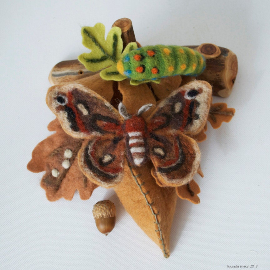 Cecropia Silk Moth Metamorphisis Learning Set