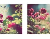 Spring is Near - Retro Photography Set Two 5x5 Prints