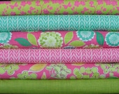 Spring House Fat Quarter Bundle of 6 in Pink by Stephanie Ryan for Moda