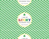DIY, Lucky to know you TAG Il_170x135