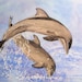 Dolphins Jumping Painting, Florida Seashore Watercolor, Art Reproduction Print of Original, Barbara Rosenzweig, Ocean Beach Vacation