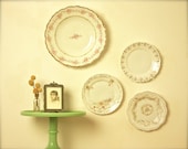 instant collection of fine china plates wall decor