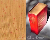 5x7 Set of Two Images (Diptych) Macro Photography - Webster's Dictionary, Close Up, Red