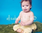Ruffle butt diaper cover pants and bloomers PDF pattern and tutorial
