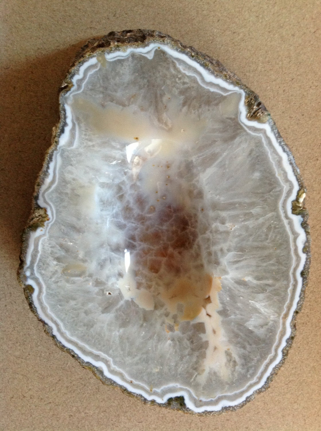 Large Petrified Wood Bowl with Bark Surrounding It