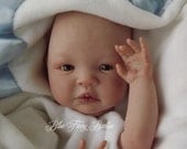 Begin 2 Reborn Instructional Tutorial eBook