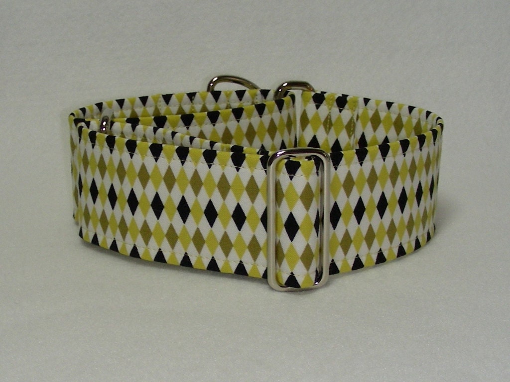 2 Inch Martingale, Greyhound Collar, Gold Black and White Harlequin