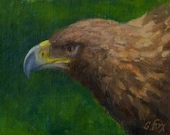 Golden Eagle oil painting