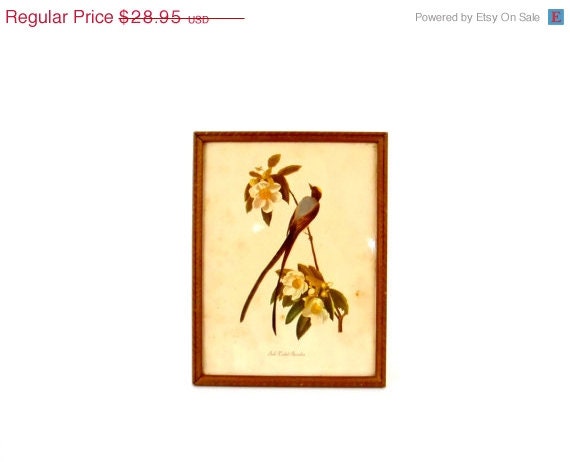 SALE 1940s Wall Hanging Framed Scientific Print Bird Print