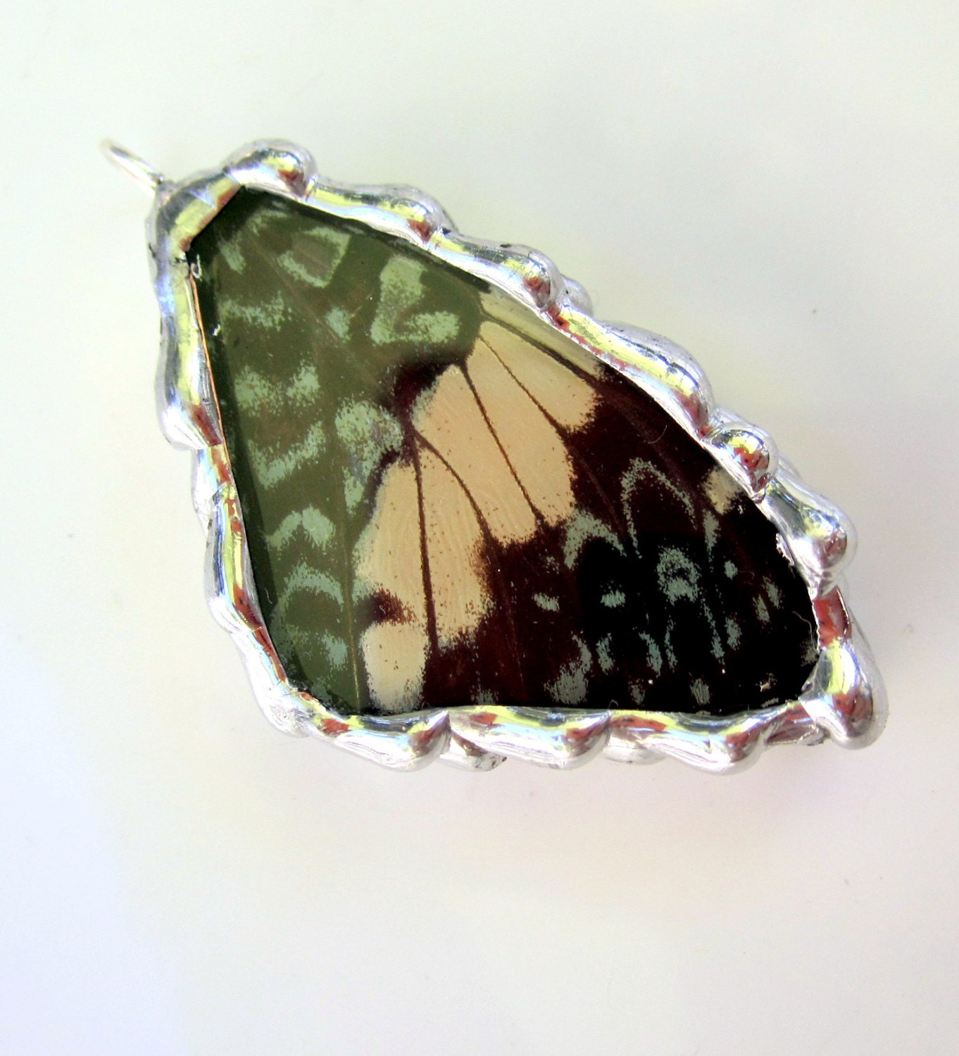 Real Butterfly Pendant, The Cracker Butterfly