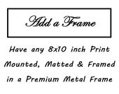 Have any 8x10 print mounted, matted and framed in an 11x14 frame, Ready to Hang