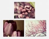 Purple Bathroom Decor Set, Lilac Flower Print Set, 3 8x10 Prints, Lavender, Spring, Lilac, Tulips, Red Bud, Woodland Purple Flower Pictures.