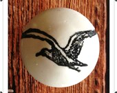 Seagull Knob