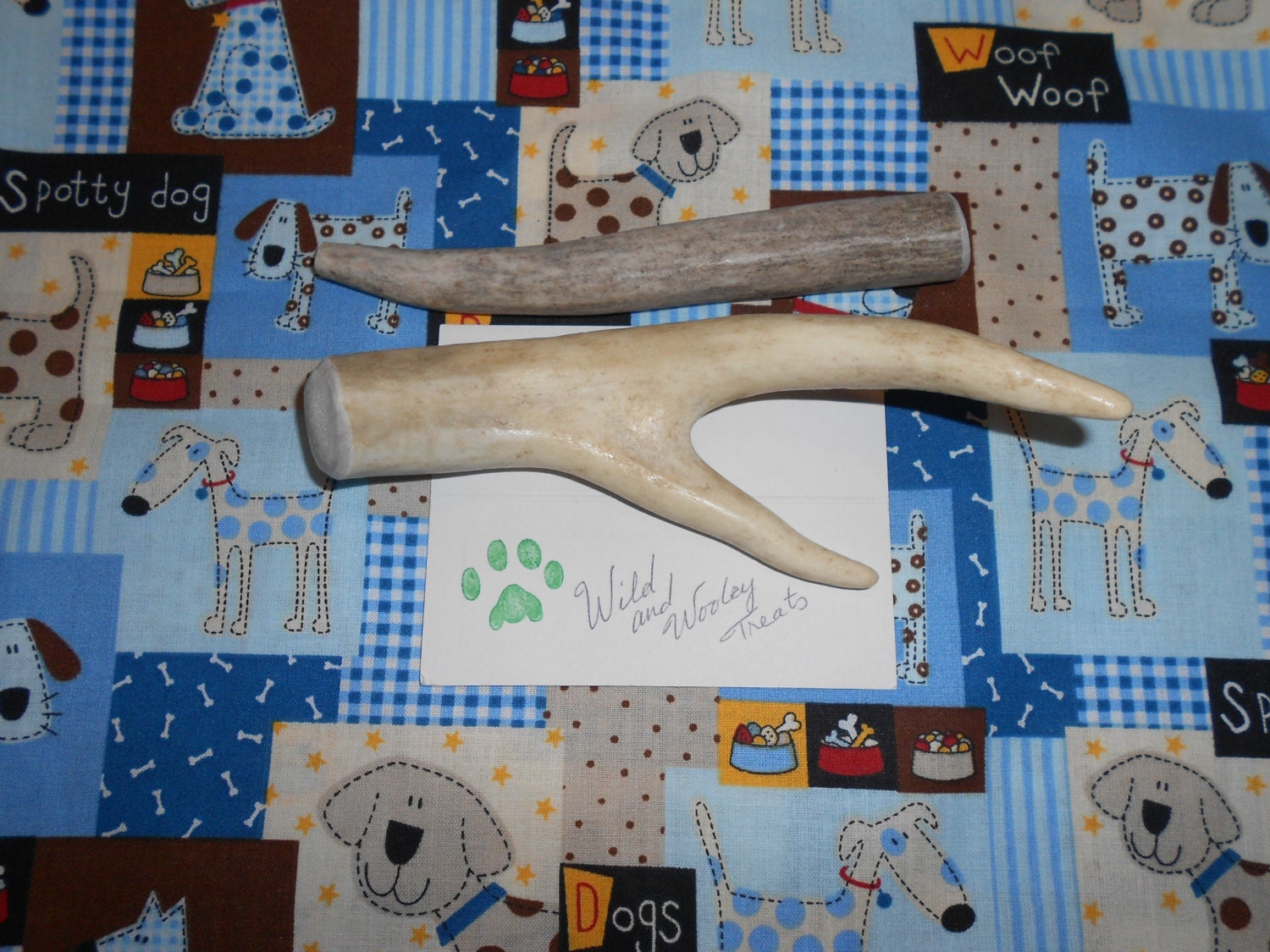 2 Medium Deer Antler Dog Chews (Lot 1312)