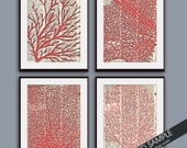 Underwater Sea Coral Dictionary Art (series C) Set of 4 11x14 Art Prints (ART BIRD Art Prints - Modern Elegance)