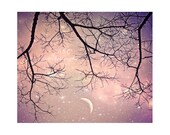 Starry Night Sky photo. Dreamy art. surreal photography. stars. tree branches. crescent moon. pink. purple. mauve. girly home decor. pretty