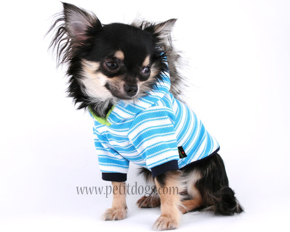 Dog clothes MEDIUM Mohawk Blue Stripe Punk Dog Hoodie
