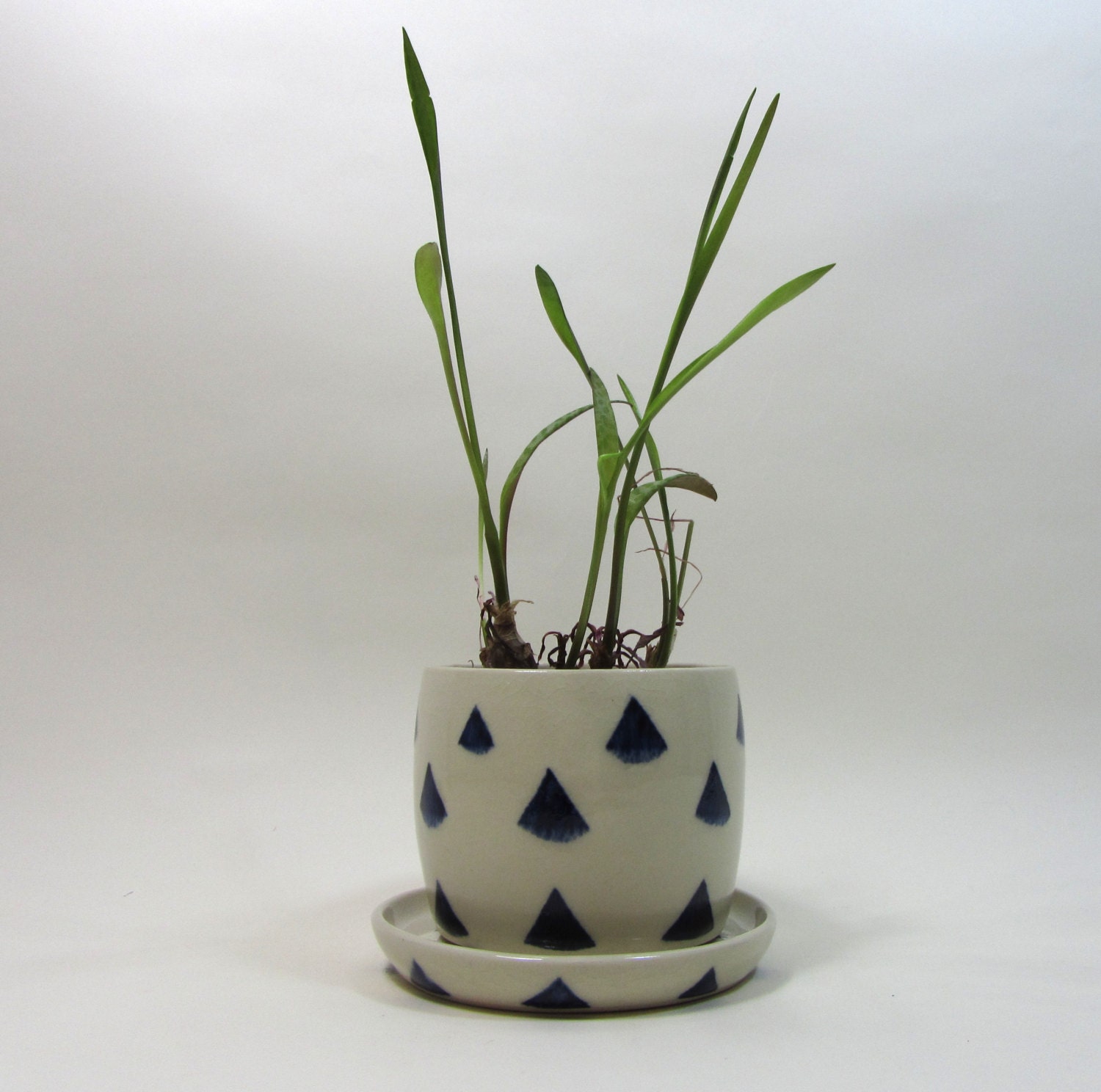 White planter with dark blue pattern of triangles with plate