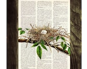 Cute Bird nest 5 print on Book page - Mixed media  art dictionary page printed